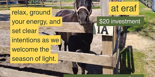 Summer solstice soundbath with the horses