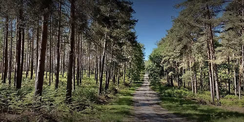 Bracknell Branch Autumn Bimble