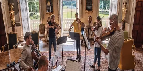 Vivaldi and the Violin