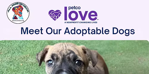 Adoption Event at Petco, Waterford