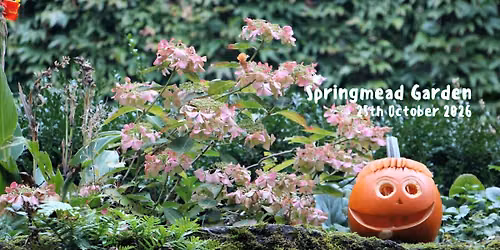 Halloween: Family Fun in Springmead Garden