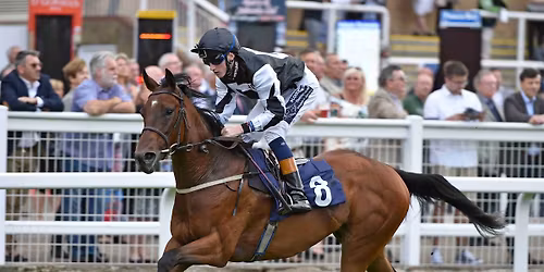 SMS Equestrian \u2013 Clear Round Show Jumping Evenings