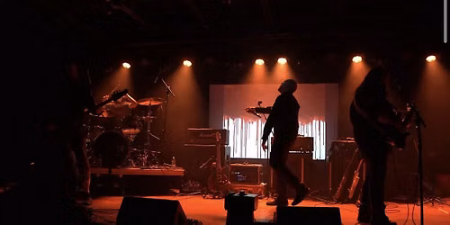 Shake My Tomb Live