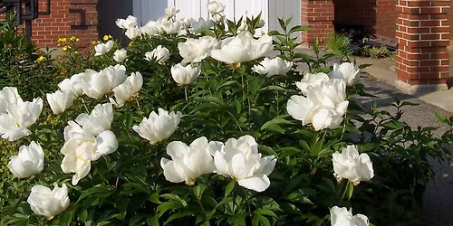 Real Estate Horror Stories: part 2