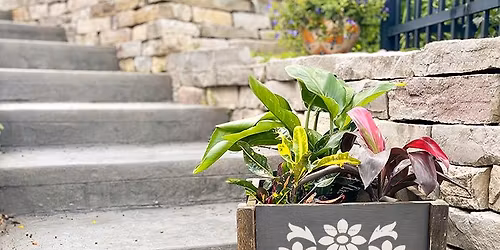 DIY Outdoor Planter Workshop