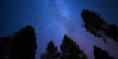 Party With the Stars