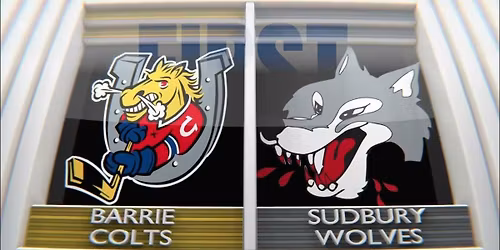 Sudbury Wolves at Barrie Colts