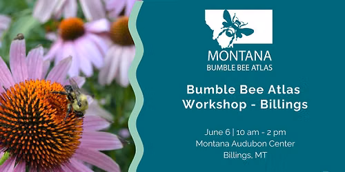 Bumble Bee Atlas Training Workshop - Billings, MT