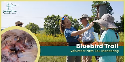 JSP Bluebird Trail Monitoring
