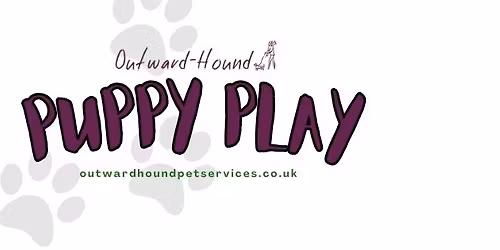 Puppy Play and Socialisation Session