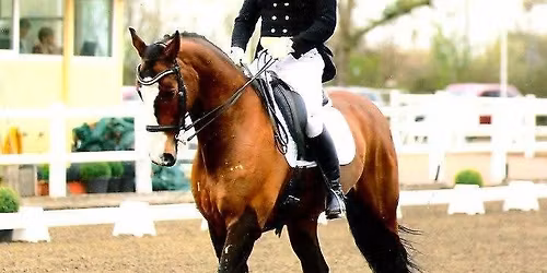 Andrew Lovell Flatwork Clinic