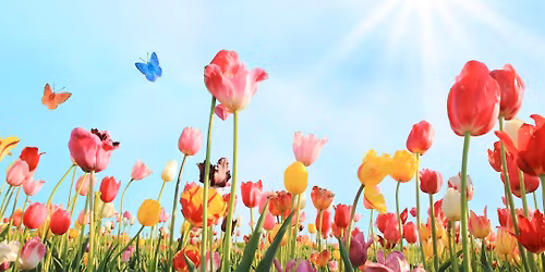 Hermiston Athletic Club 2nd Annual Spring Market