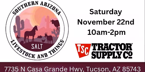 SALT's November '25 Market