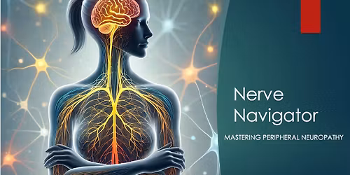 Nerve Navigator: Upper Body