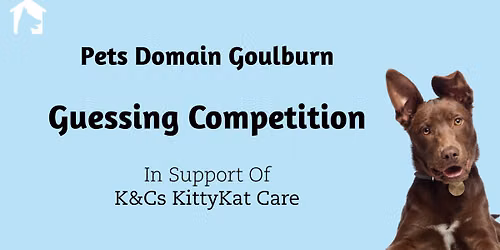 Guessing Competition