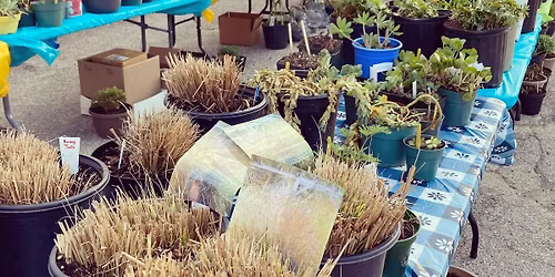 Plant Sale - Elmira & District Horticultural Society