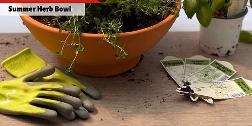 Summer Herb Bowl Planting Class - June 7th