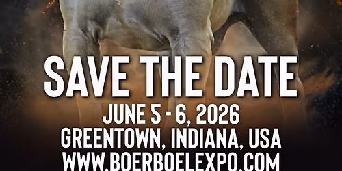 Boerboel Expo 