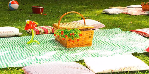 Social Picnic \ud83e\uddfa