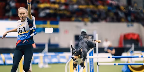 Agility semin\u00e1r s Veronikou Kr\u00e1likovou