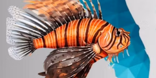 Northeast Lionfish Round-up