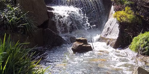 Lake Nenia Autumn Retreat