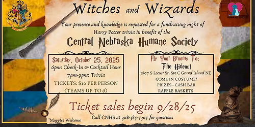 Harry Potter Trivia Night