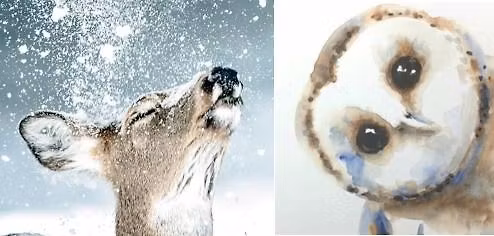 Pamper, Paint, Pizza and Prosecco