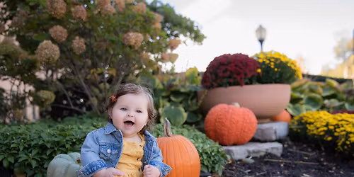 Bella Life Photography - Fall Mini Sessions (Cantigny Park Wheaton)