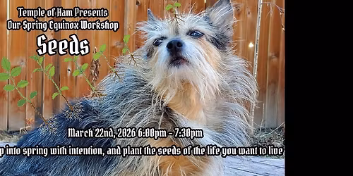 Spring Equinox Workshop - Seeds