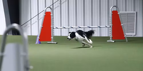 AKC August Agility Trial - Dog Days of Summer