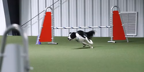 AKC August Agility Trial - Dog Days of Summer