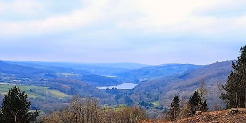 Wharncliffe Woods