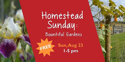 Homestead Sunday: Bountiful Gardens