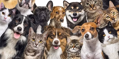 ZANIES COMEDY NIGHT FUNDRAISER Jan. 21 Doors open at 6PM. Show starts at 7PM