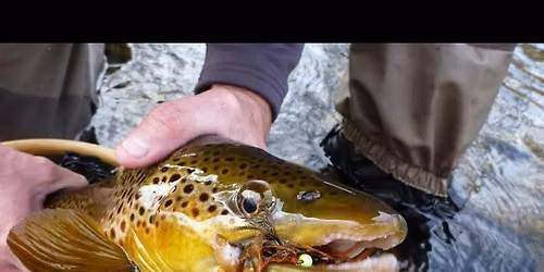 LOCATION CHANGED:  Mid-week Fly Fishing - Argonne Lake (Possum Creek MP)