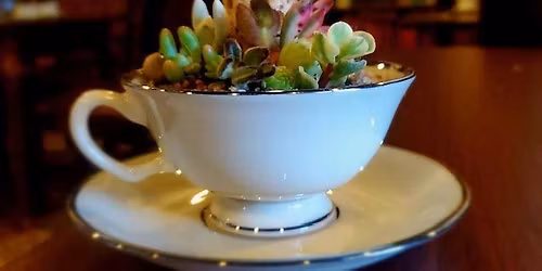 Build your own Tea-rarium with Plush Moon Terrarium Co