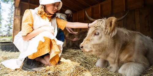 Fun on the Farm