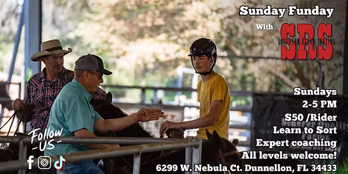 Ranch Sorting Practice