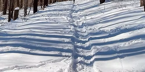 Wayne Winter Hiking Challenge - Final Day