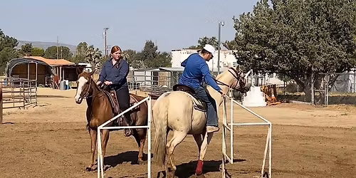 Equine Obstacle Practice