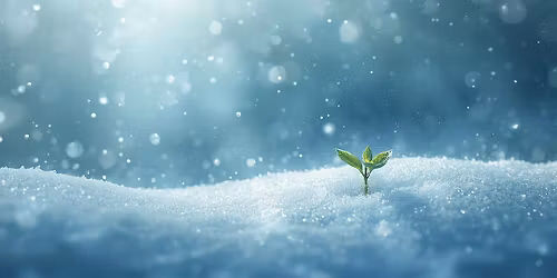 Dreaming the Year Into Being: Visioning from Stillness & Inner Wisdom