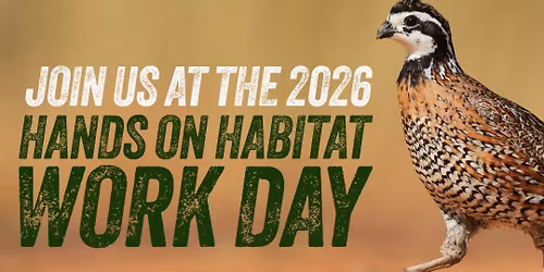 Habitat Work Day