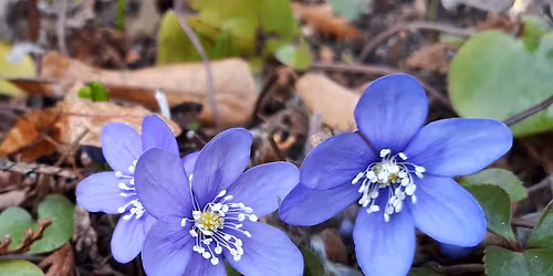 Torsdagstur - Lavterskel tur (Aktiv i 100)