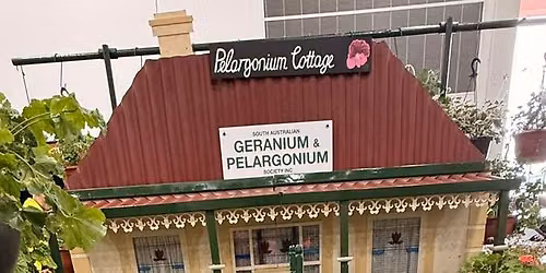 SA Geranium & Pelargonium Society Annual Spring Show
