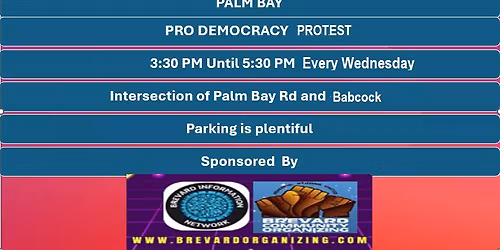 Palm Bay Weekly Pro Democracy Protest