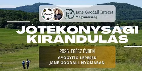 Gy\u00f3gy\u00edt\u00f3 l\u00e9p\u00e9sek Jane Goodall nyom\u00e1ban