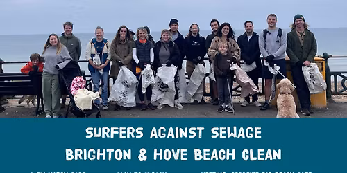 SAS Million Mile Brighton and Hove beach clean
