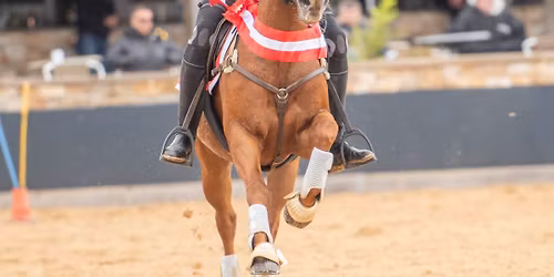 MGAGB British Individuals 2026