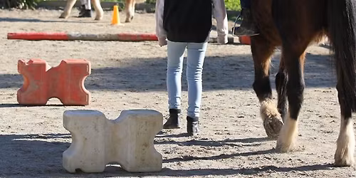 School Holiday Fun Day for Non-Horse Owners